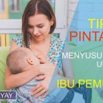 Tips Pintar Menyusui Bayi Untuk Ibu Pemula
