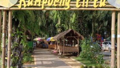 Wisata Taman Tirta Asri Sriwungu Banyumas Pringsewu infoyay